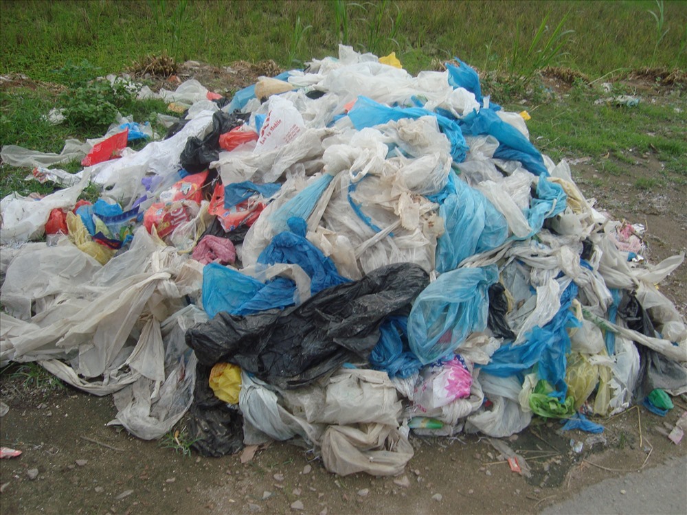 Cần đánh thuế thật cao đối với túi nylon khó phân hủy. Ảnh: P.V