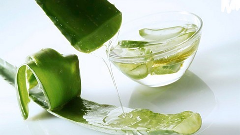 Sử dụng nha đam để chữa khô môi.