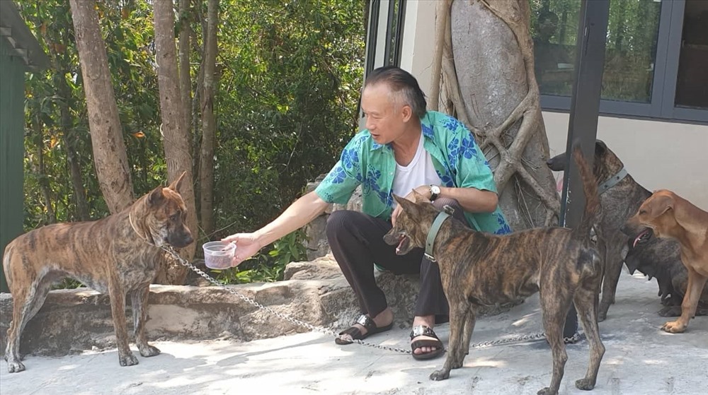 Người đàn ông 62 tuổi này có tình yêu vô bờ bến với chó Phú Quốc.