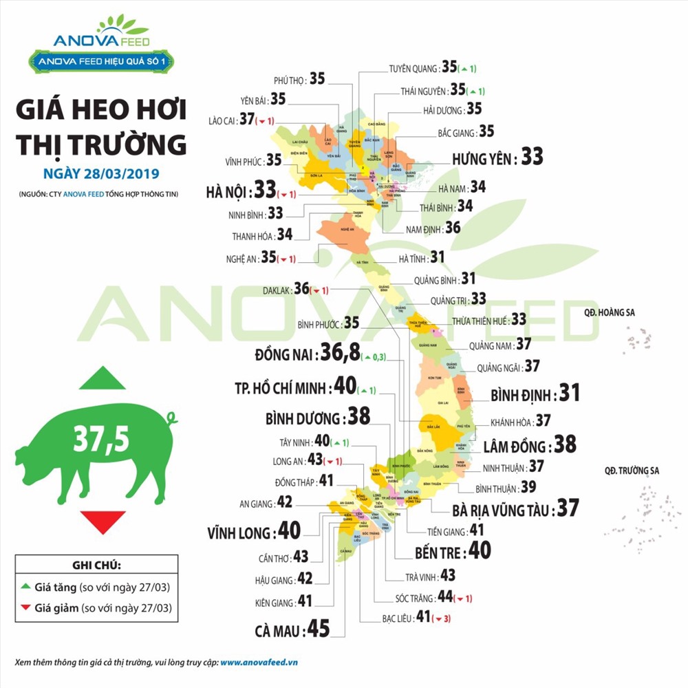 So sánh giá trong 2 ngày cho thấy giá lợn hơi đang ấm dần. Nguồn: Anova Feed