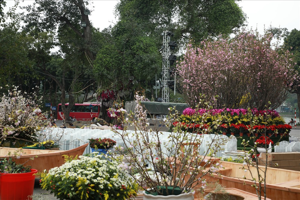 Lễ hội hoa anh đào Nhật Bản 2019 diễn ra từ ngày 29 đến 31.3.