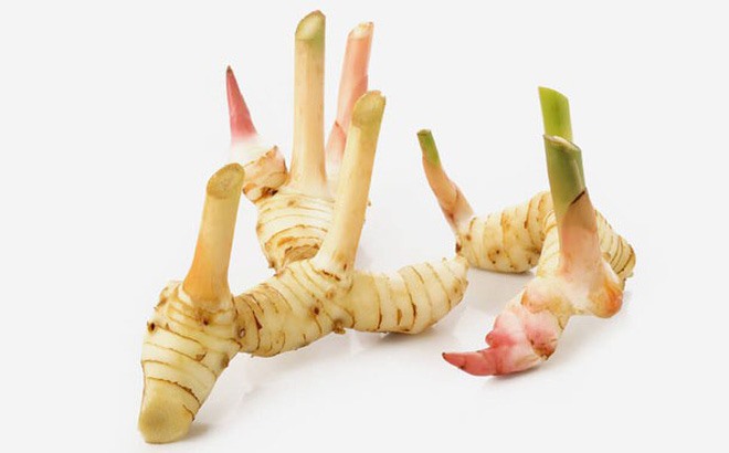 Củ riềng chữa viêm đại tràng.