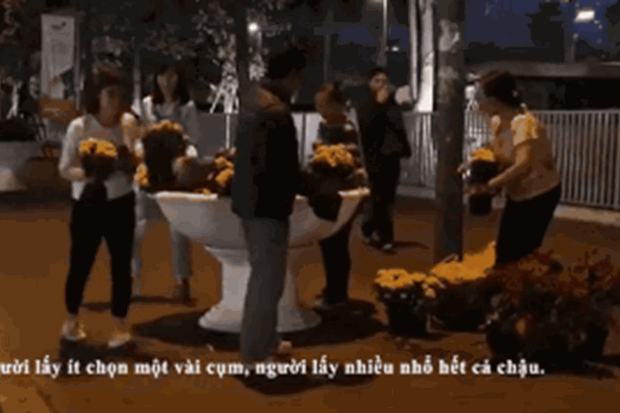 Người dân vơ vét hoa trang trí trước cửa khách sạn JW Marriott. Ảnh cắt từ clip.