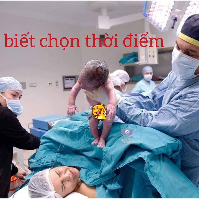 Hình ảnh thú vị được chia sẻ rầm rộ trên mạng xã hội.