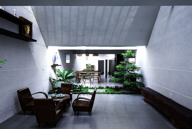 Thăm thẳm và nhiều cây xanh.