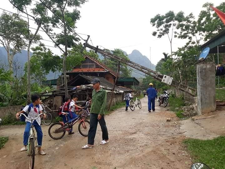 Nhiều ột điện bị gãy đổ