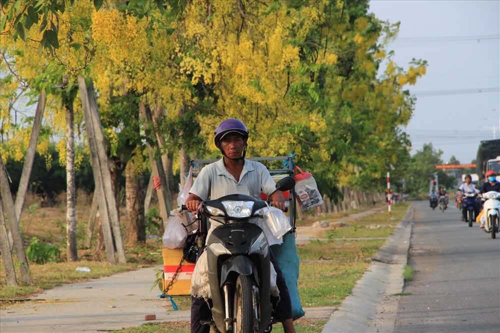 Người đàn ông bán hàng rong ngồi tránh nắng dưới tán hoa vàng.