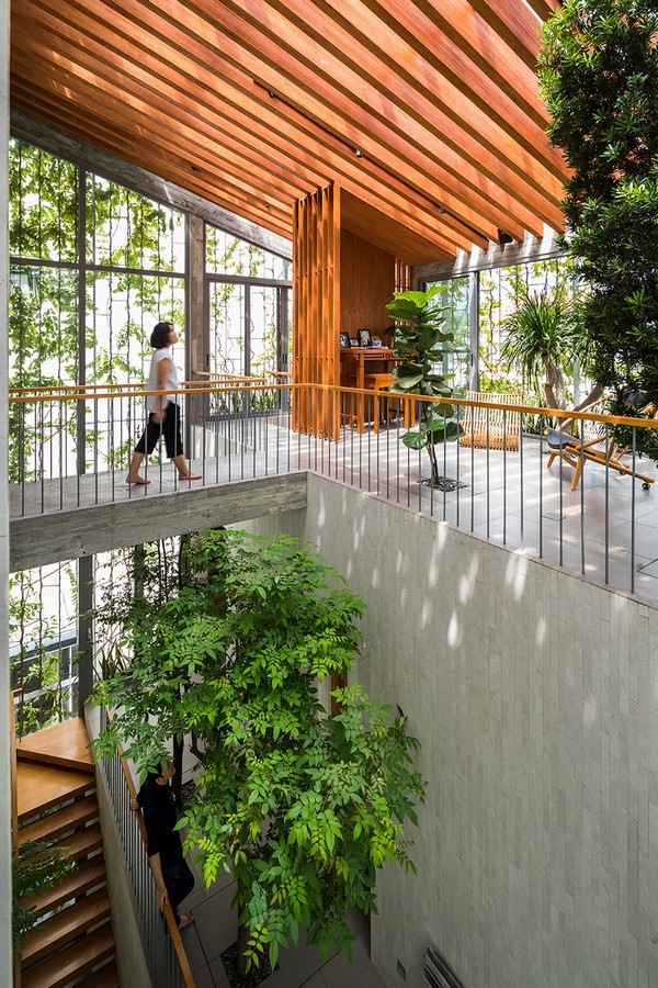 Các khoảng không gian để ở của Stepping Park House được thiết kế ôm trọn lấy khoảng thông tầng cắt chéo qua ba tầng của ngôi nhà, với dây thường xuân phủ kín những ô cửa kính lớn.