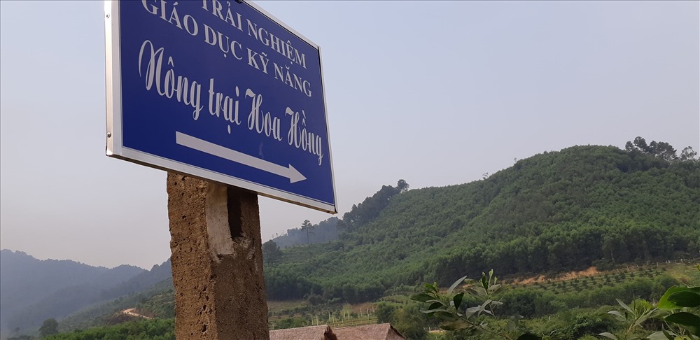 Đường vào nông trại hoa hồng