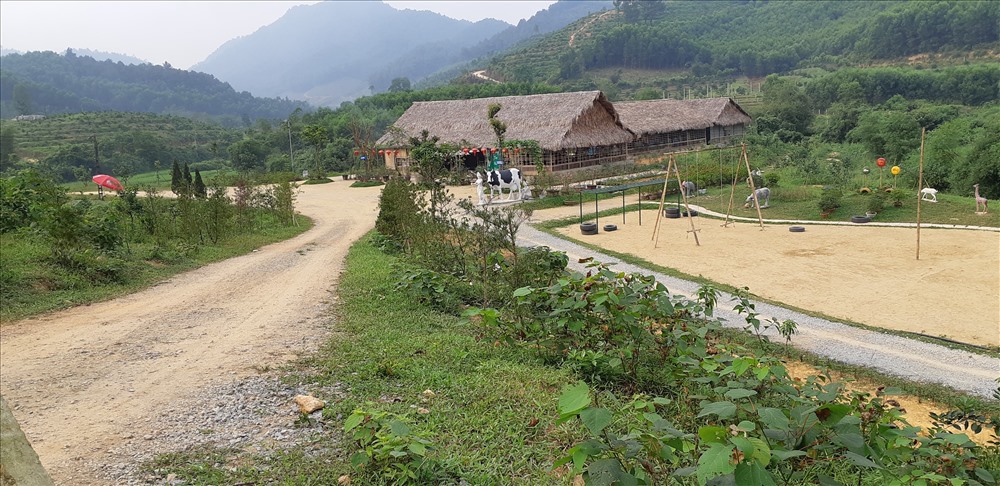 Tổng khuôn viên nông trại