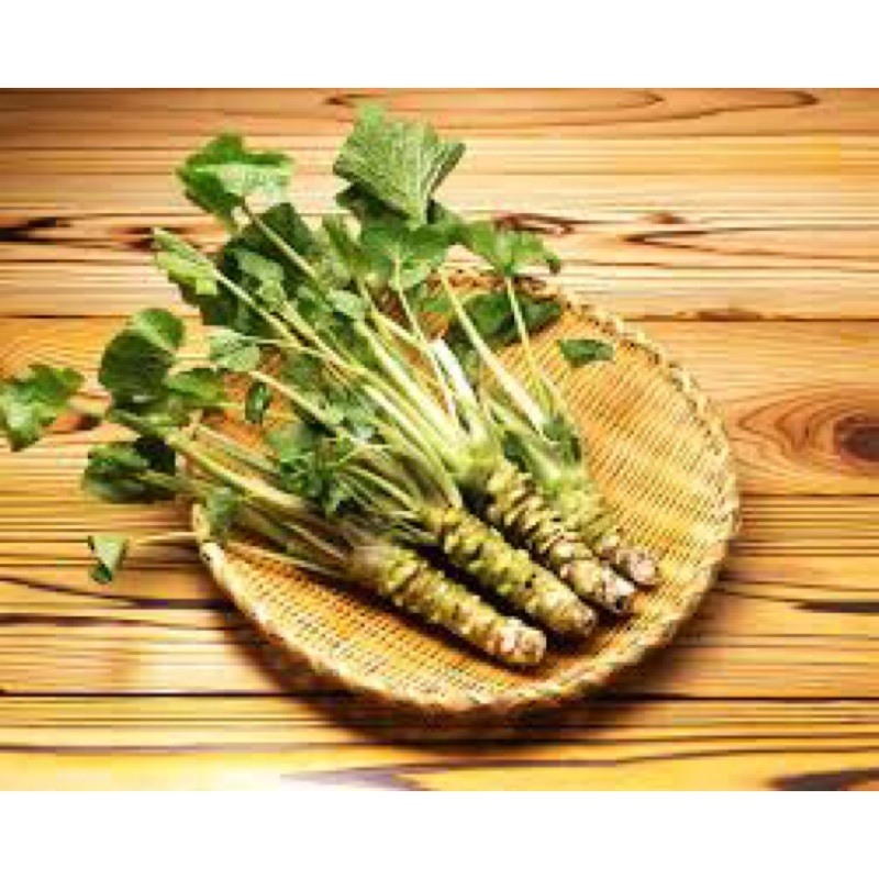 Rễ của Wasabi được bán với giá 300 tệ nửa cân