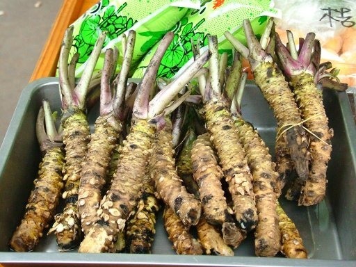 Rễ của Wasabi được dùng làm gia vị và có vị cay cực mạnh.