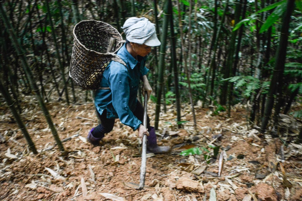 Hành trang trong mỗi chuyến vào rừng là 1 chiếc cuốc nhỏ, xà beng, gùi đựng măng. Đặc biệt là phải có những đôi ủng vì thời tiết mùa xuân đi rừng rất trơn và ẩm ướt.