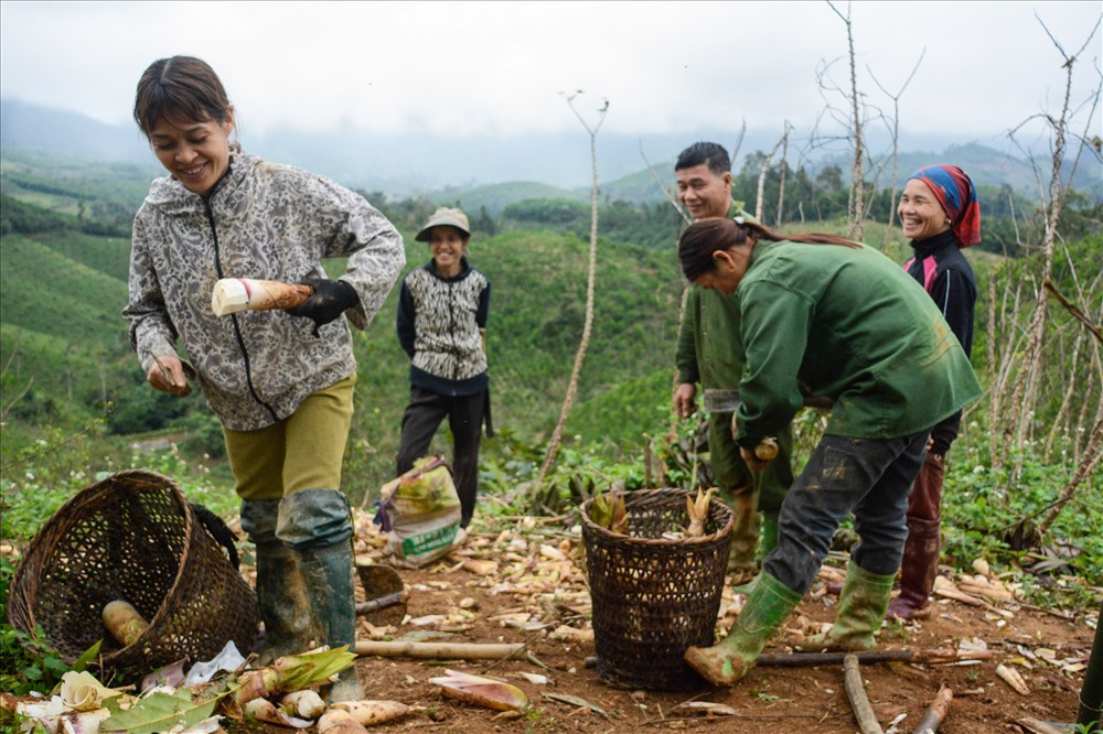 Sau khi đã kiếm cho mình những củ măng thì mọi người lại gọi nhau ra tụ tập tại sườn đồi vừa nghỉ ngơi vừa cắt tỉa, bóc những lớp vỏ măng để khi đem về chỉ việc rửa sạch và chế biến.