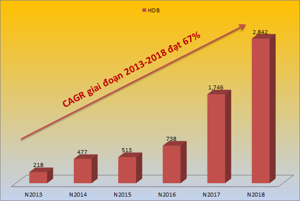 HDBank thuộc Top 5 ngân hàng có tốc độ tăng trưởng nhanh 2019. Ảnh: HDBank