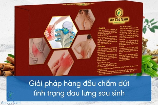 Cách trị đau lưng sau sinh hiệu quả nhờ bài thuốc An Cốt Nam