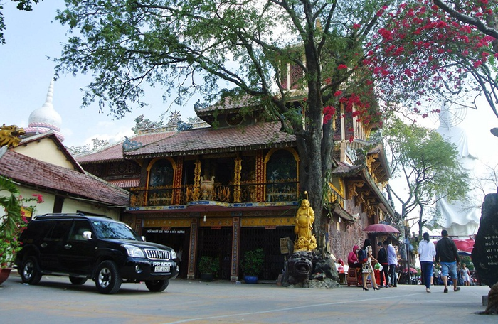 Việc di dời bầy khỉ ra khỏi chùa là vấn đề khó đối với địa phương. Ảnh: Đ.A