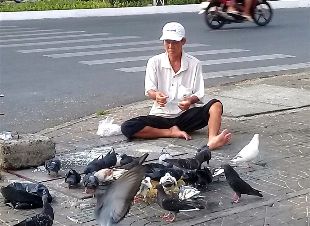Bên đại lộ tấp nập, anh Chương vẫn ngày ngày chăm lo để giữ đàn bồ câu cho thành phố.
