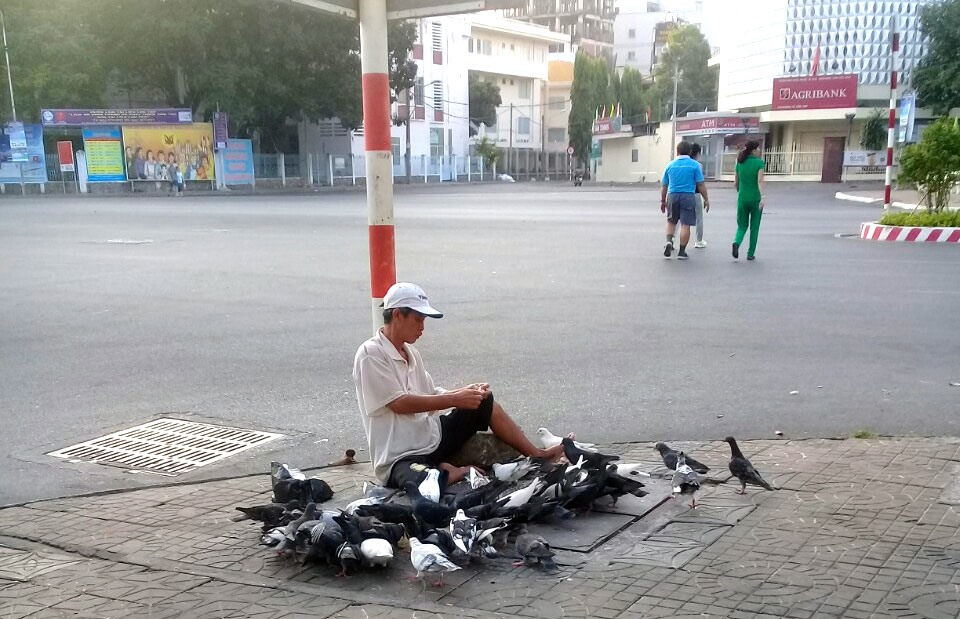 Bên đại lộ tấp nập, anh Chương vẫn ngày ngày chăm lo để giữ đàn bồ câu cho thành phố.