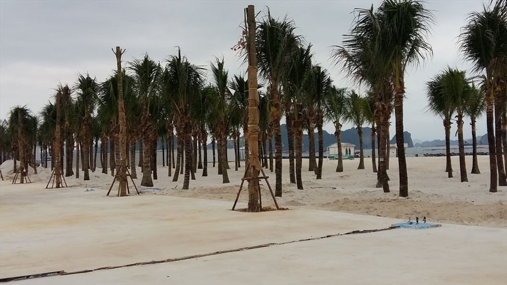 Bãi tắm mới rộng rãi, có nhiều lối ra-vào, thuận tiện cho du khách và nhân dân đến vui chơi. Ảnh: Nguyễn Hùng