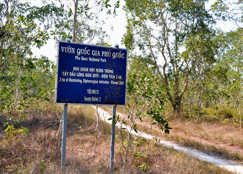 VQGPQ tại xã Bãi Thơm đang trong tình trạng rất khô. Ảnh: Lục Tùng