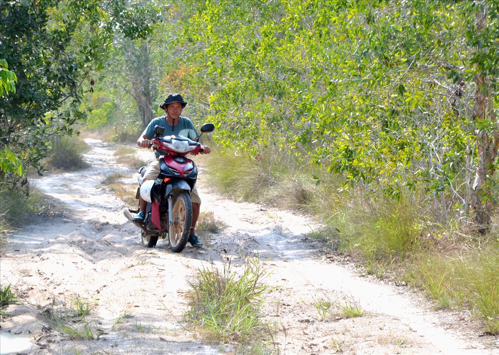 Bình quân mỗi ngày, một nhân viên kiểm lâm phải đi quảng đường 100km. Ảnh: Lục Tùng.