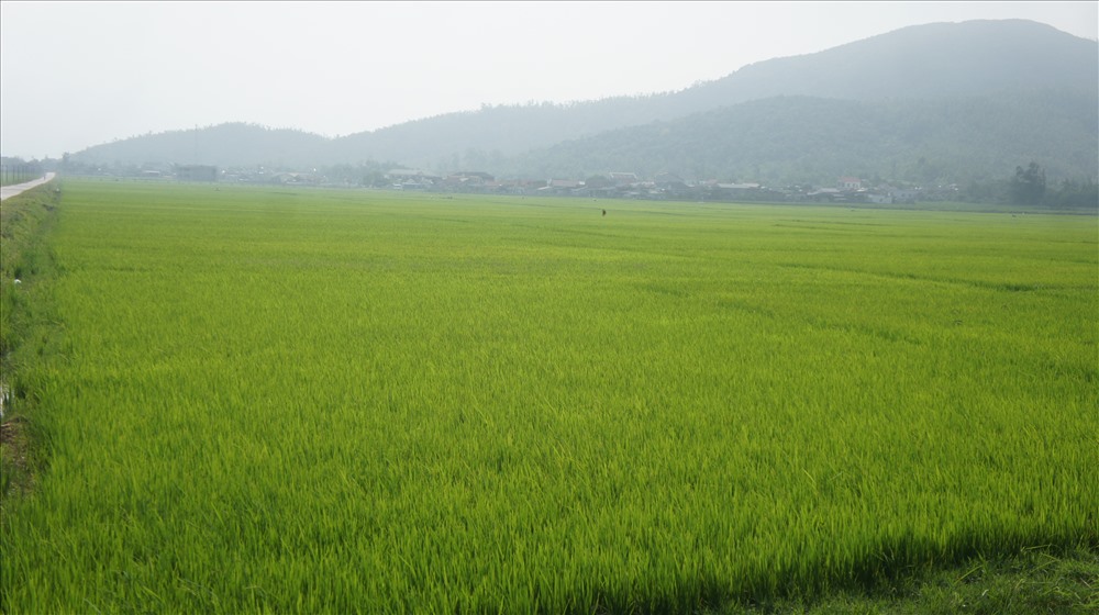 Thôn Phú Sơn, xã Kỳ Phú