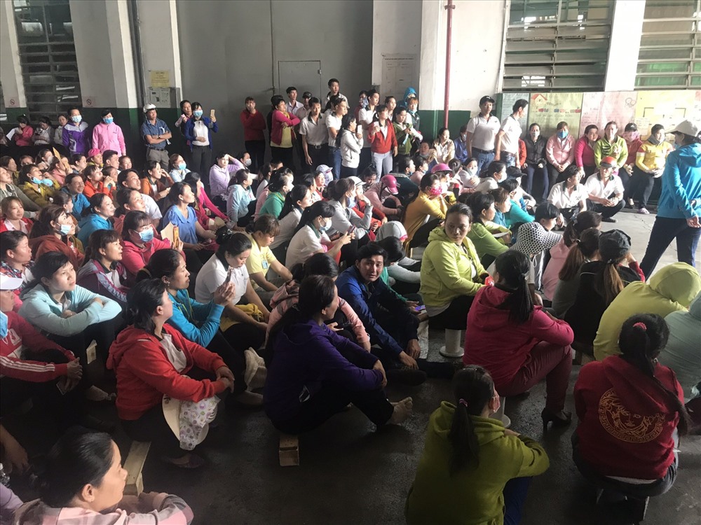Hơn 200 công nhân của Cty Vĩ Thái sẽ mất việc khi công ty giải thể