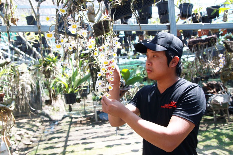 Duy Dân dự tính phát triển theo hướng kết hợp du lịch, tham quan để giới thiệu vẻ đẹp của lan rừng đến mọi người. Ảnh: H.Thắm.