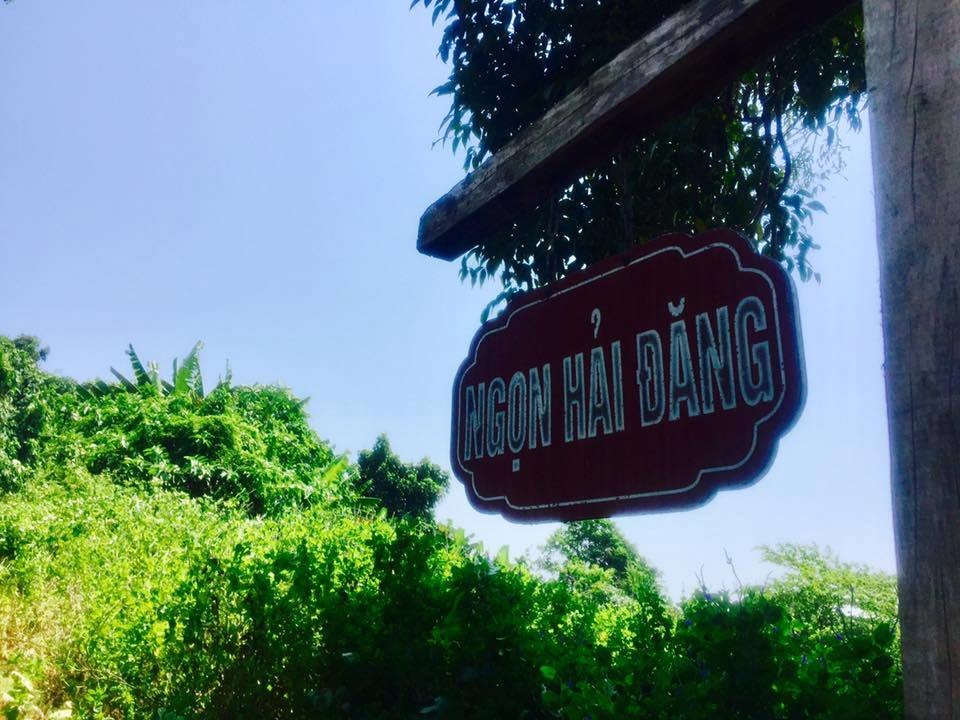 Từ tháng 4.2019, tàu cao tốc đã chính thức phục vụ đưa khách du lịch ra đảo Cồn Cỏ. Ảnh: P.H.P