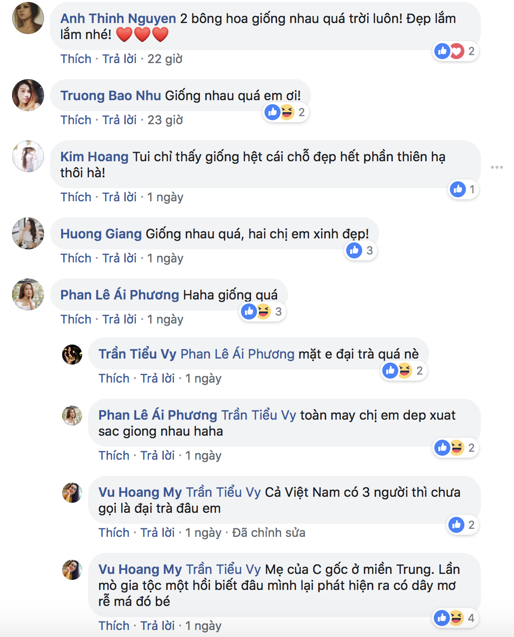 Ca sĩ Ái Phương cũng tỏ phải ngạc nhiên “haha giống quá“. Nguồn FBNV.