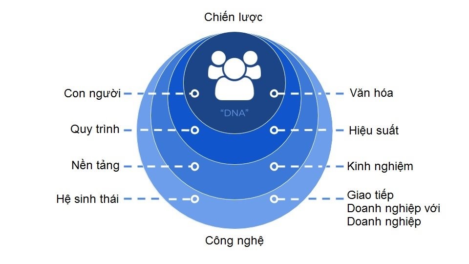 Đây là sơ đồ các lớp để hình dung về chuyển đổi số. Nguồn: Wikipedia.