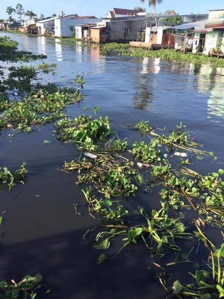 Sông Cái Lớn chuyển sang màu màu đen và bốc mùi hôi thối nồng nặc