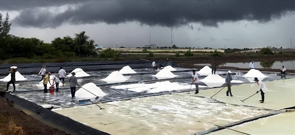 Lần đầu tiên giá muối tỉ lệ thuận với sản lượng