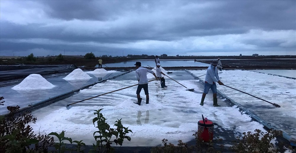 Giá muối tăng, diêm dân tranh thủ cào vào ban đêm