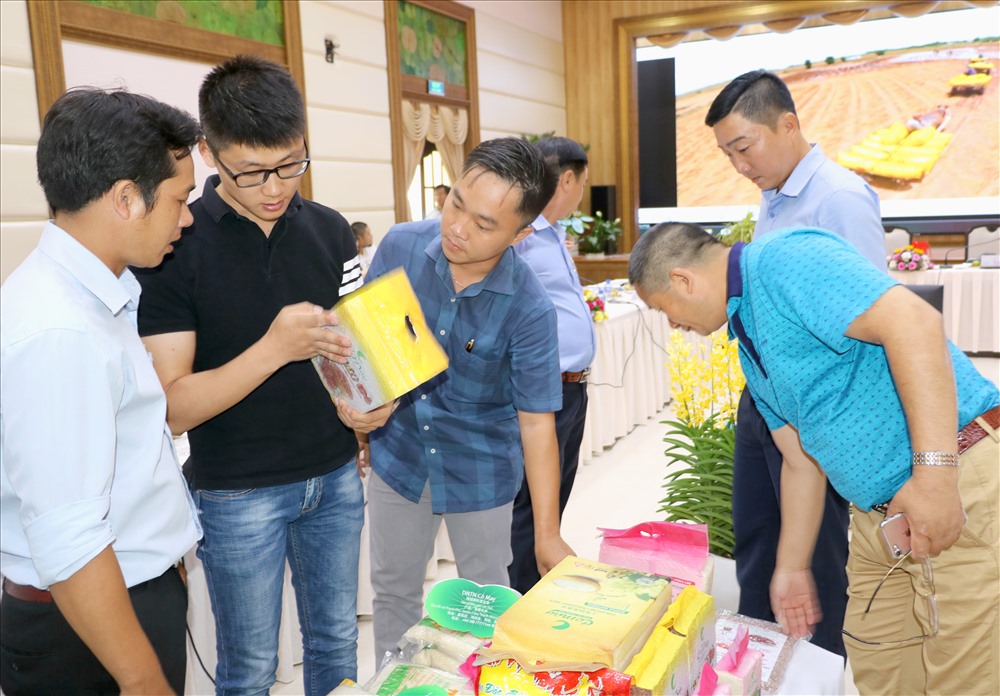 Đoàn công tác tham quan, tìm hiểu tình hình sản xuất, chế biến gạo tại Đồng Tháp. Ảnh: LT