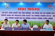 Sản xuất lúa năm 2018 ở Nam bộ: Thắng cả năng suất lẫn hiệu quả Sản xuất lúa năm 2018 ở Nam bộ: Thắng cả năng suất lẫn hiệu quả