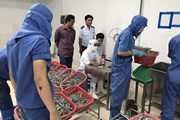 Cuộc chiến với tôm tạp chất Cuộc chiến với tôm tạp chất