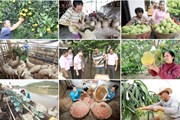 Tín dụng chính sách: Công cụ hỗ trợ trực tiếp cho giảm nghèo Tín dụng chính sách: Công cụ hỗ trợ trực tiếp cho giảm nghèo