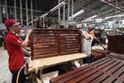 EU-Việt Nam ký kết Hiệp định Đối tác tự nguyện về thực thi luật lâm nghiệp, quản trị rừng EU-Việt Nam ký kết Hiệp định Đối tác tự nguyện về thực thi luật lâm nghiệp, quản trị rừng