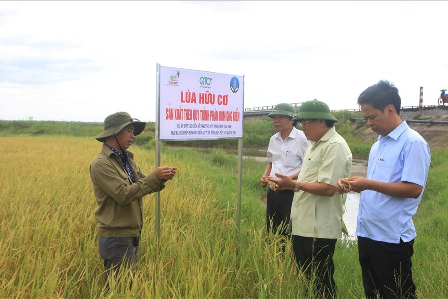 Lãnh đạo tỉnh Quảng Trị cùng các ngành chức năng kiểm tra mô hình sản xuất nông nghiệp chất lượng cao theo hướng thân thiện với môi trường. Ảnh: TN
