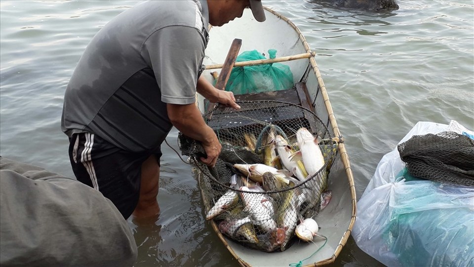 Người dân thu nhập được hàng chục kg cá Người dân thu nhập được hàng chục kg cá