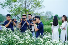 Vẻ đẹp cúc họa mi làm say lòng những người yêu hoa.
