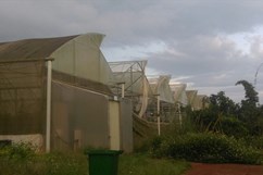 Người “mắng” nhà khoa học thua nông dân chăn bò truy việc trả lời báo chí
