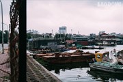 Bến du thuyền hồ Tây xa hoa một thời sao lại biến thành "nghĩa địa" hoang tàn thế này? Bến du thuyền hồ Tây xa hoa một thời sao lại biến thành "nghĩa địa" hoang tàn thế này?