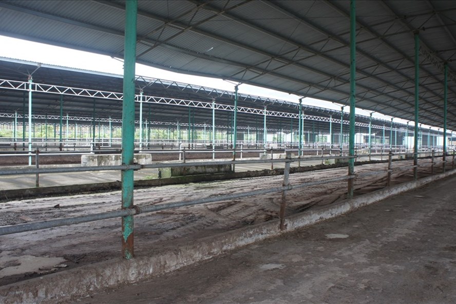 Nhiều dãy nhà thuộc dự án này nằm trên địa bàn 2 xã Cẩm Quang, Cẩm Mỹ, huyện Cẩm Xuyên trống không