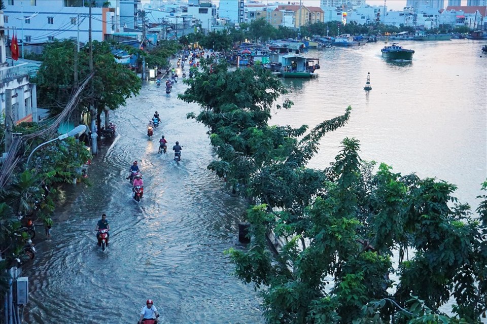 Đường Trần Xuân Soạn (quận 7) ngập nặng do triều cường. Ảnh: M.Q Đường Trần Xuân Soạn (quận 7) ngập nặng do triều cường. Ảnh: M.Q