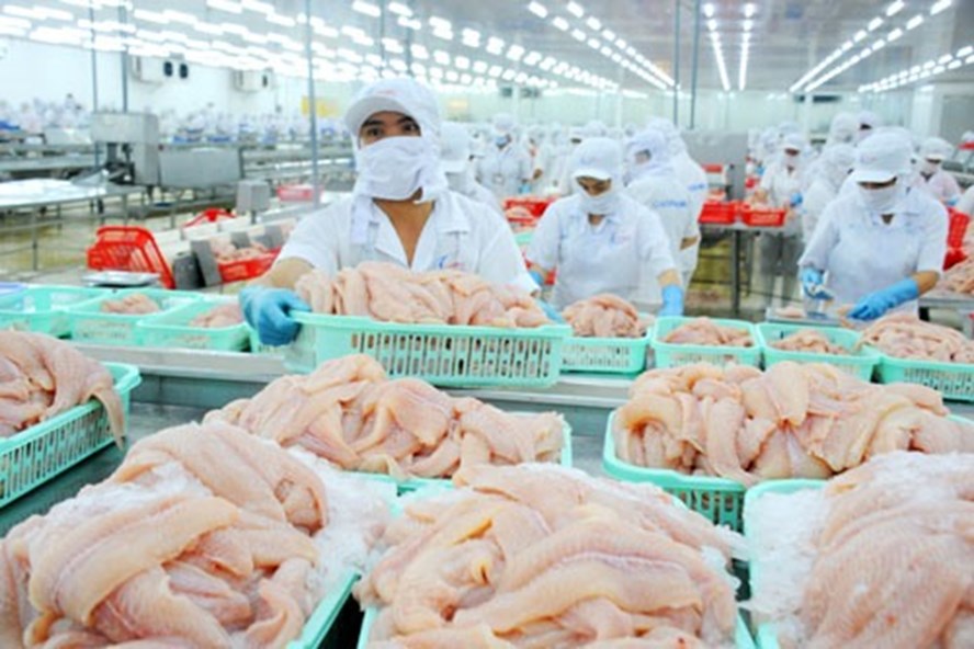 Chế biến cá tra xuất khẩu. Ảnh: MH