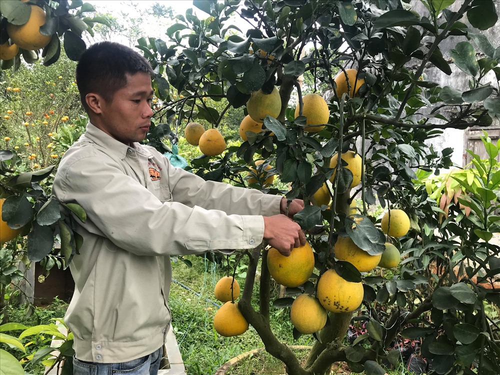 Anh Nguy&aacute;&raquo;n V&Auml;n Vinh ch&Auml;m s&Atilde;&sup3;c c&Atilde;&cent;y b&AElig;&deg;&aacute;&raquo;i Di&aacute;&raquo;n l&aacute;&ordm;&sect;n cu&aacute;&raquo;i &Auml;&aacute;&raquo; &Auml;&Atilde;&copy;m xu&aacute;&ordm;&yen;t b&Atilde;&iexcl;n