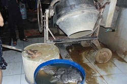 Rùng mình sách bò đen thui được "hô biến" thành trắng